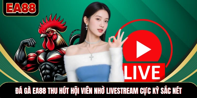 Đá gà EA88 thu hút hội viên nhờ livestream cực kỳ sắc nét